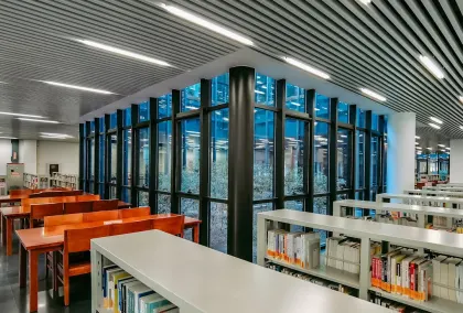 Kasyno Lion Wins Aplikacja mobilna